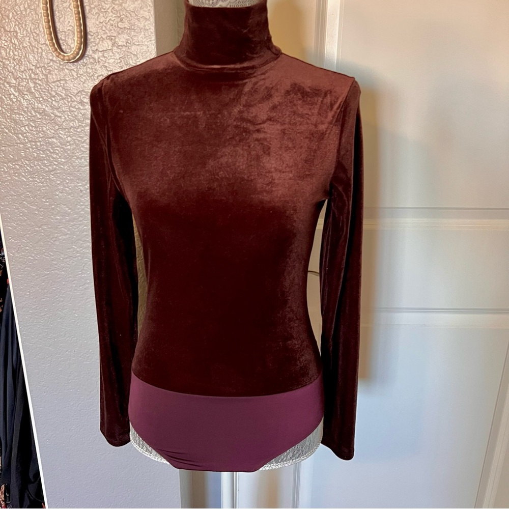 Express Body Contour Velvet Mock Neck Bodysuit - Brown